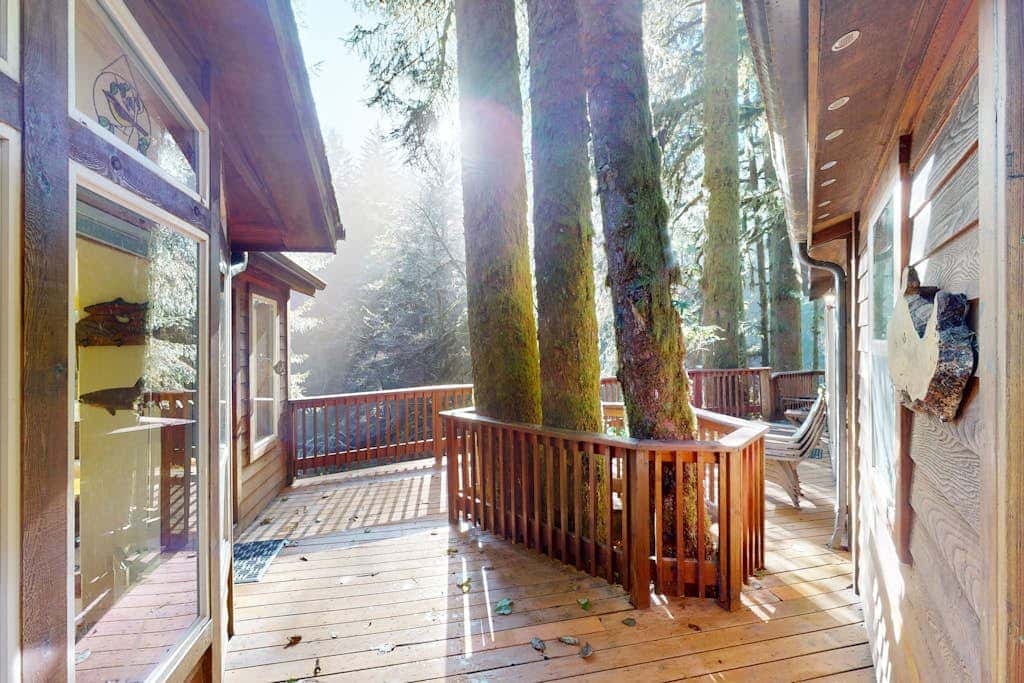 Tree-lined cabin with studio & gorgeous decks, just up from Whaleshead Beach