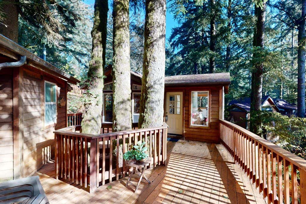 Tree-lined cabin with studio & gorgeous decks, just up from Whaleshead Beach