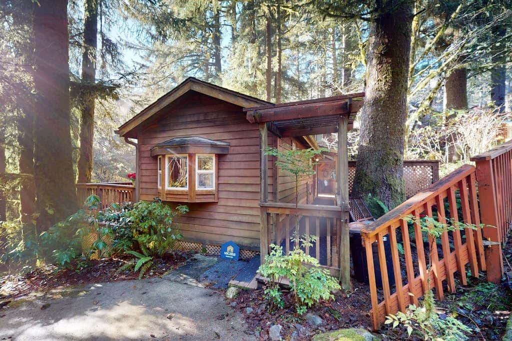 Tree-lined cabin with studio & gorgeous decks, just up from Whaleshead Beach