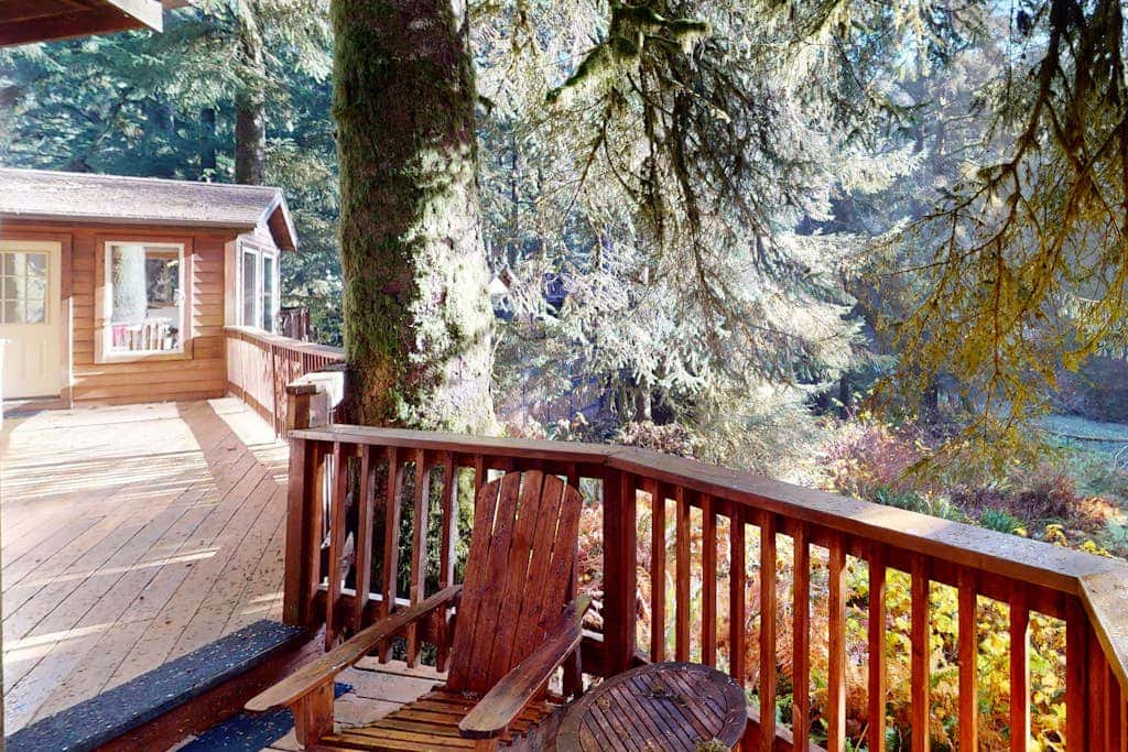 Tree-lined cabin with studio & gorgeous decks, just up from Whaleshead Beach