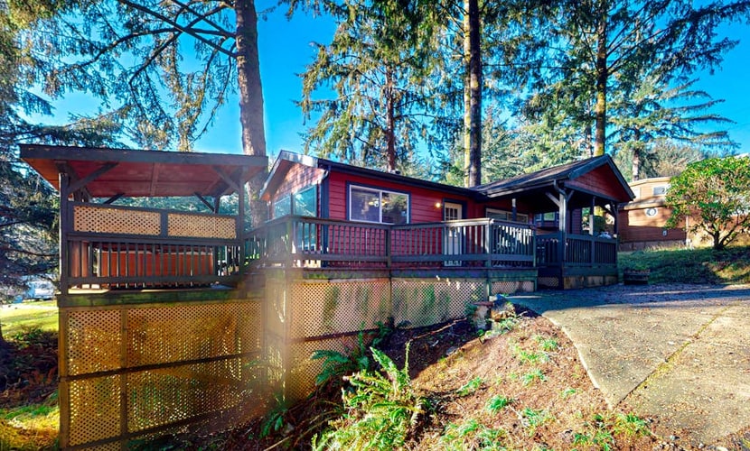 Whaleshead Grove