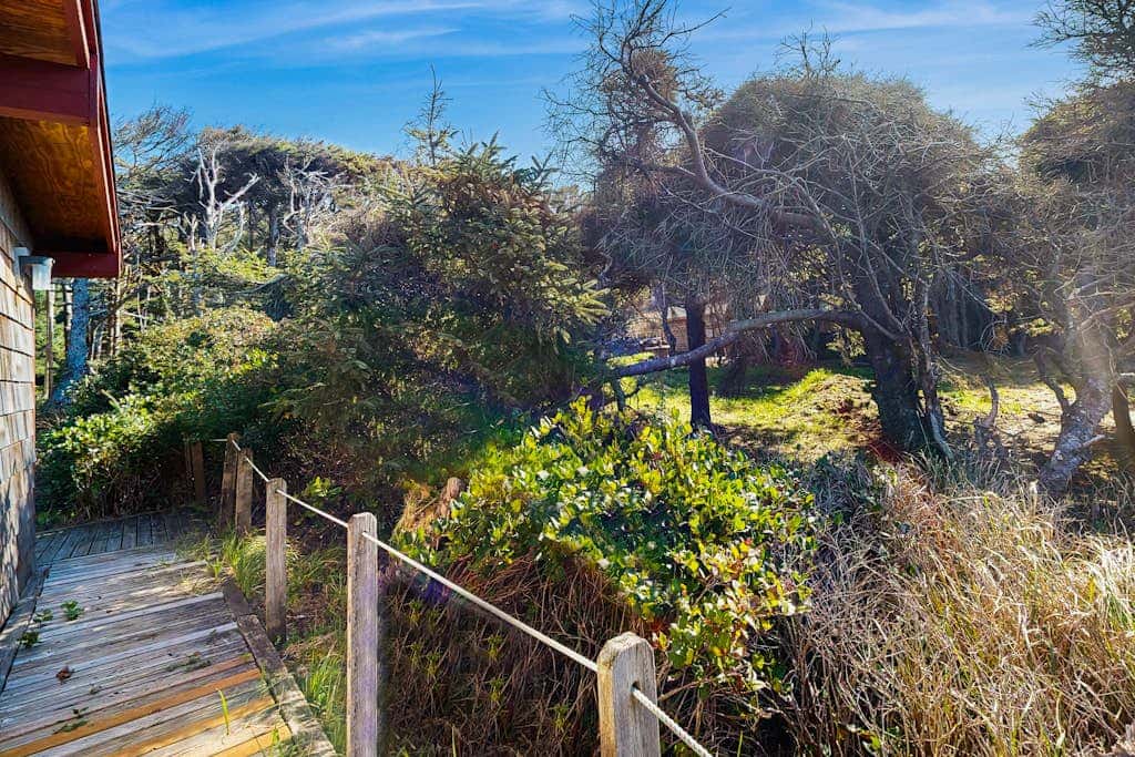 Dog-Friendly Oceanfront Cabin in the Trees with Gorgeous Views