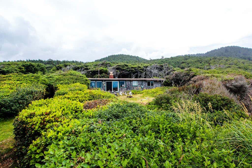 Dog-Friendly Oceanfront Cabin in the Trees with Gorgeous Views