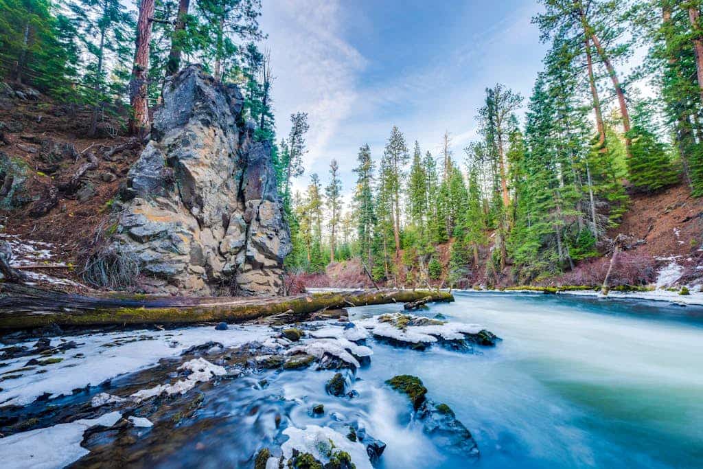 Deschutes Delight