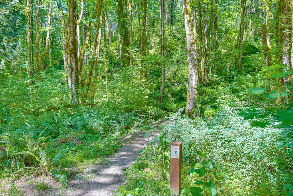 Dog-friendly home with hot tub, shared pool, firepit, fireplace, & river access