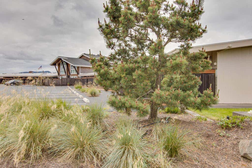 Oceanfront condo near Gearhart Golf Links - walk to beach  - No pets