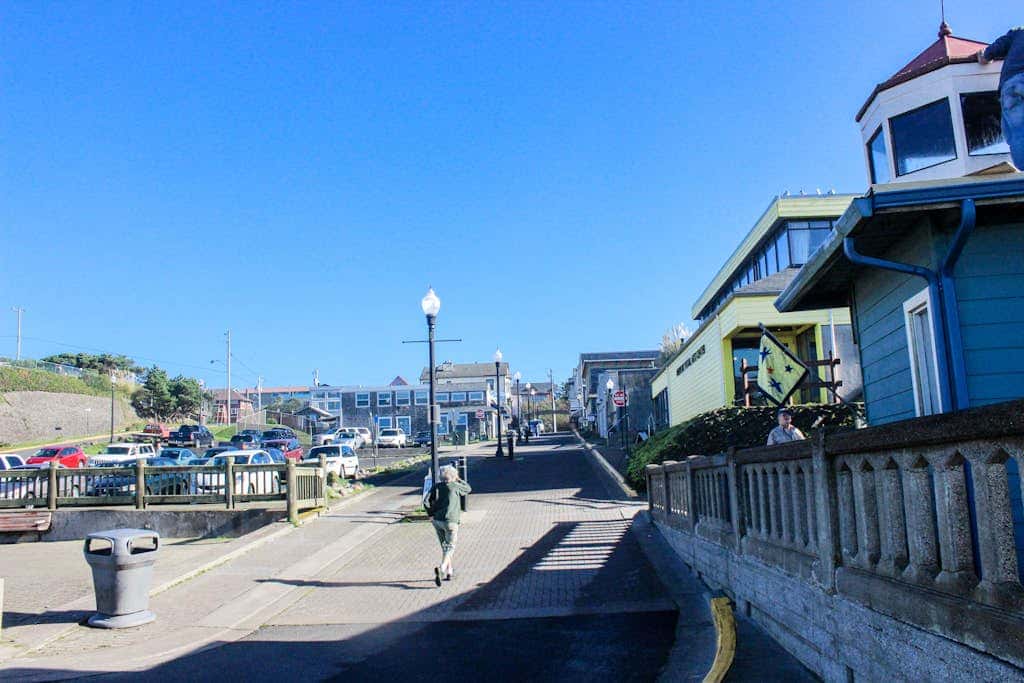Ocean-view lower-level duplex across street from beach - dog-friendly