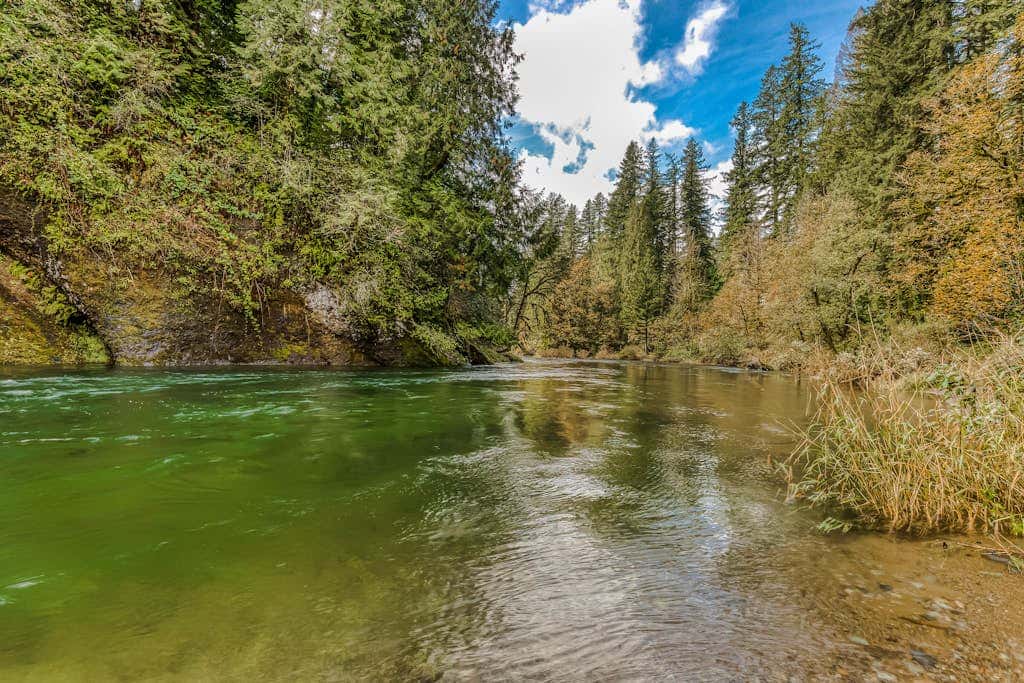 Spacious riverfront lodge with beach access, private hot tub & forest views