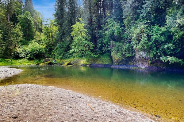 Eva's Cottage - Romancing the River