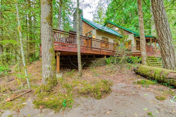 Papa Bear Cabin