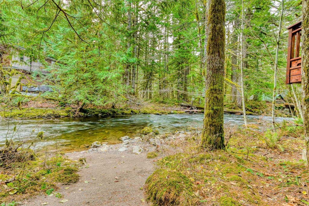 Historic Waterfront Cabin with Hot Tub & Salmon River Access - Dog-Friendly