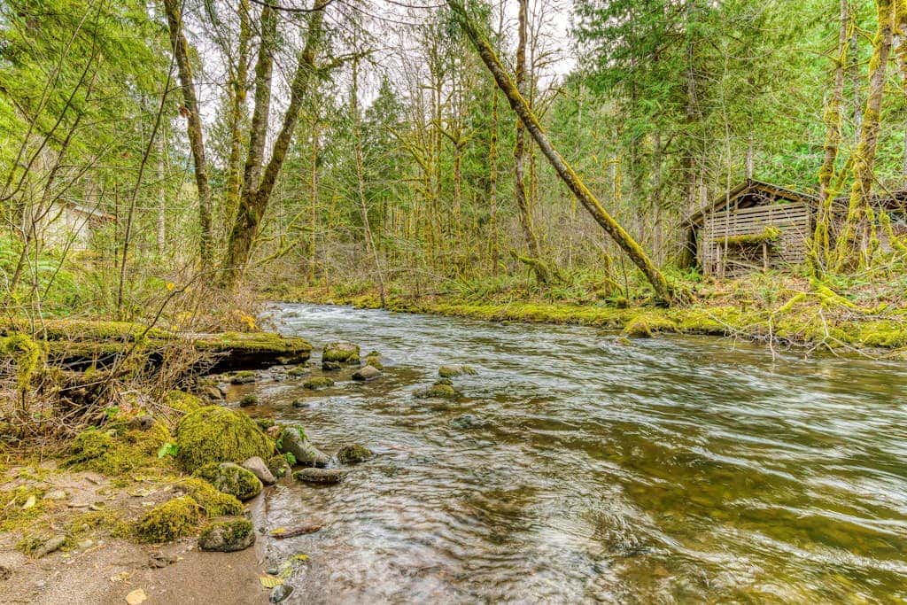 Historic Waterfront Cabin with Hot Tub & Salmon River Access - Dog-Friendly