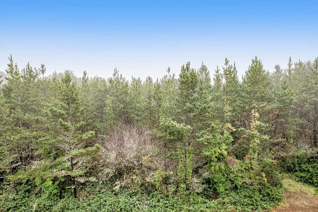 Incredible dog-friendly home with pool table, fast WiFi, gas fireplace, and W&D