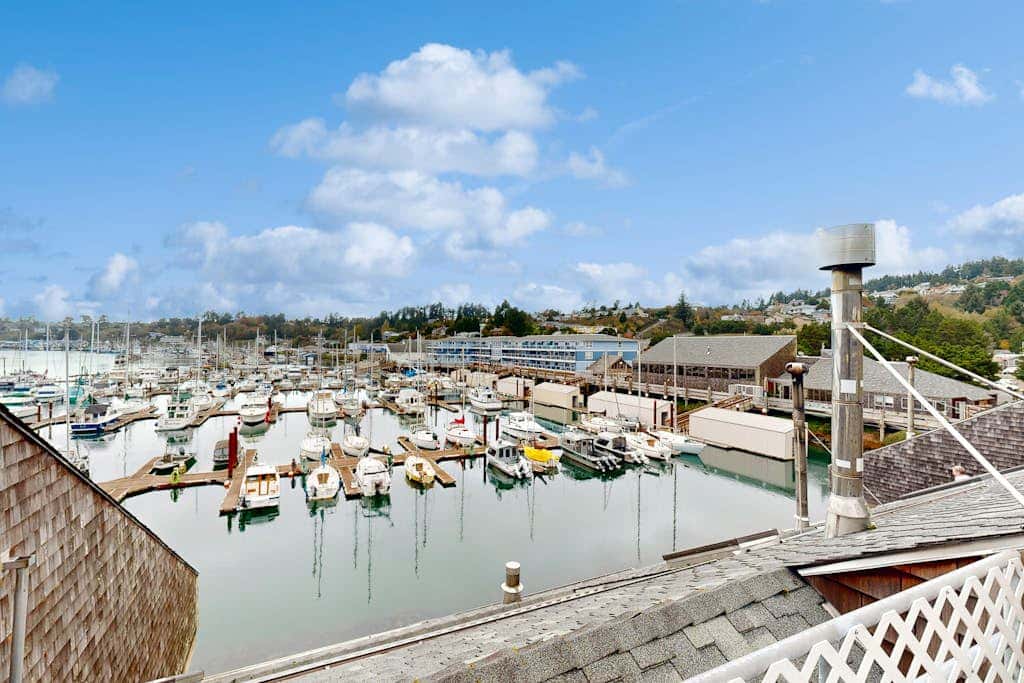 Oceanfront studio - harbor views, shared sauna & dog-friendly