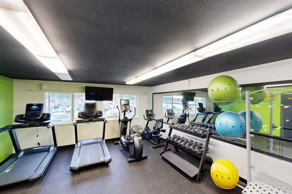 Oceanfront studio - harbor views, shared sauna & dog-friendly