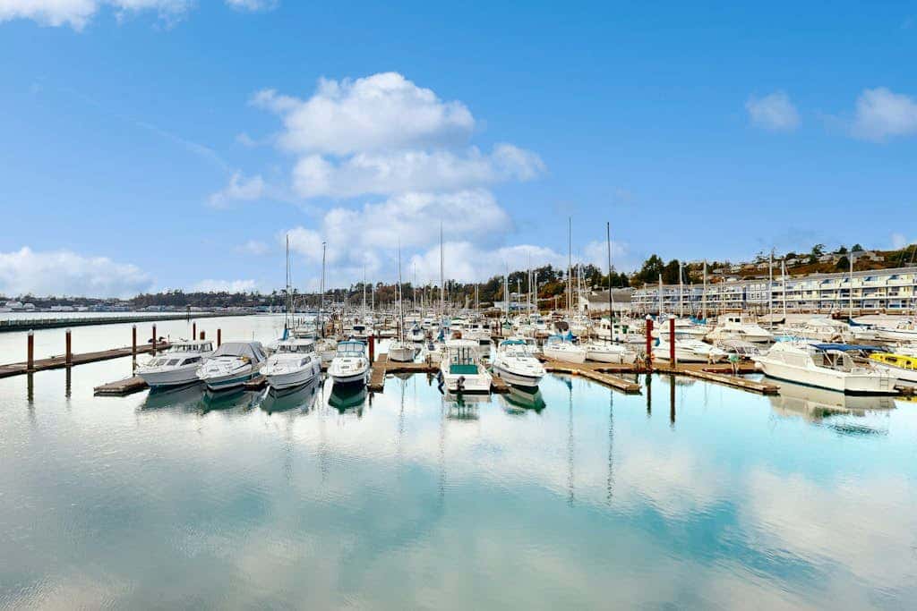 Oceanfront studio - harbor views, shared sauna & dog-friendly