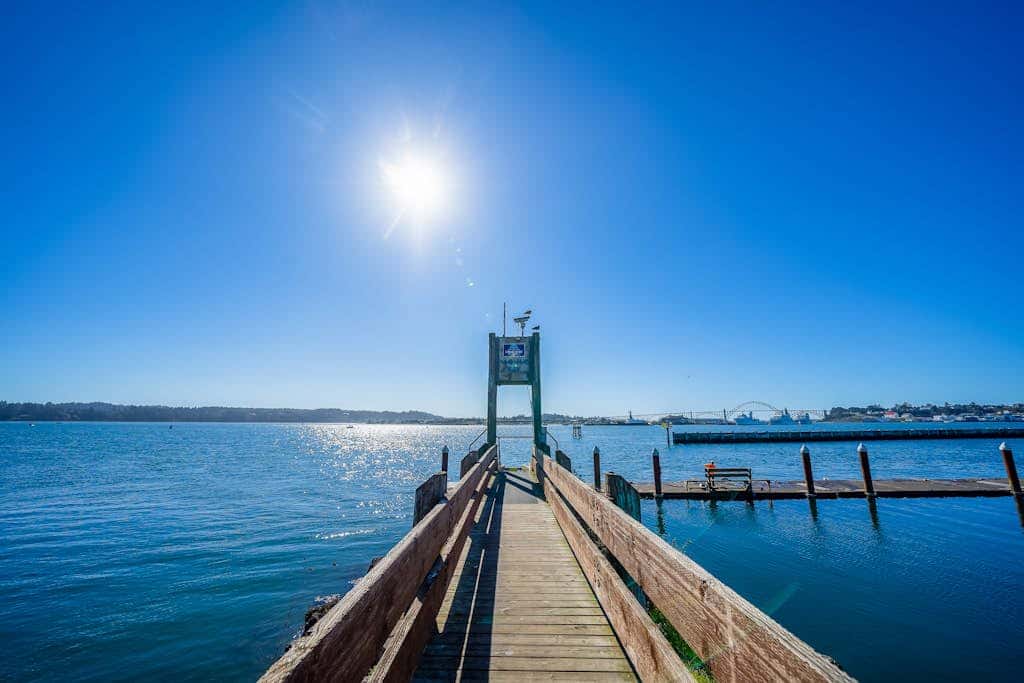 Oceanfront studio - harbor views, shared sauna & dog-friendly