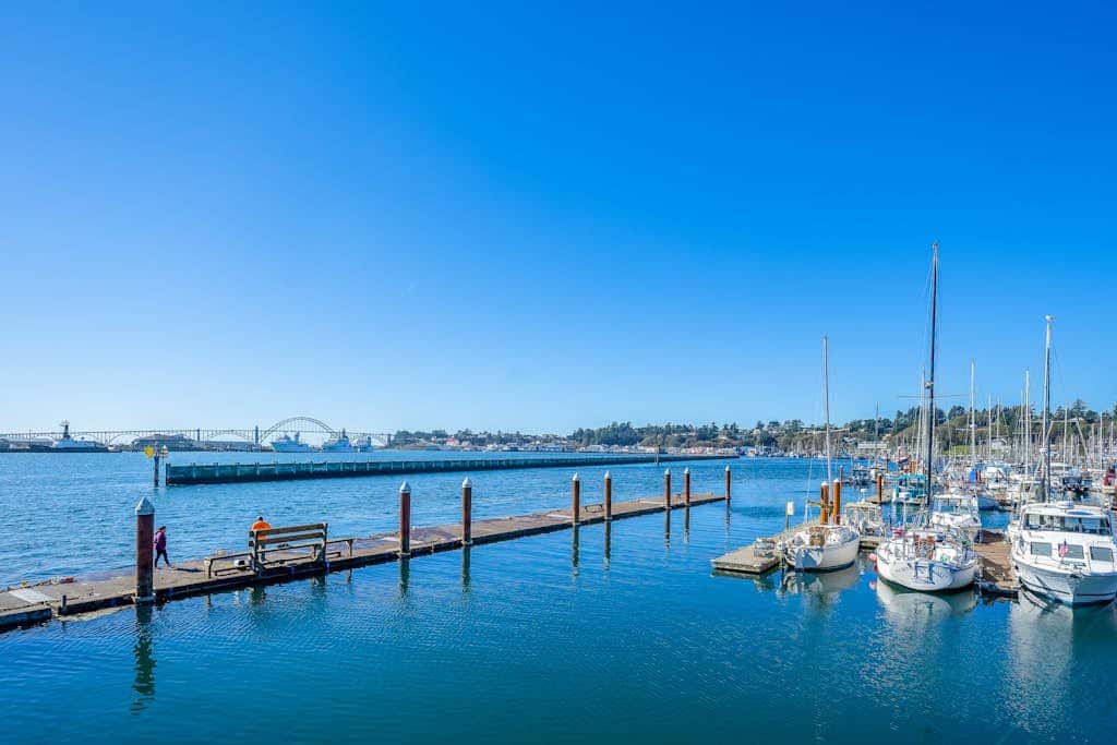 Oceanfront studio - harbor views, shared sauna & dog-friendly