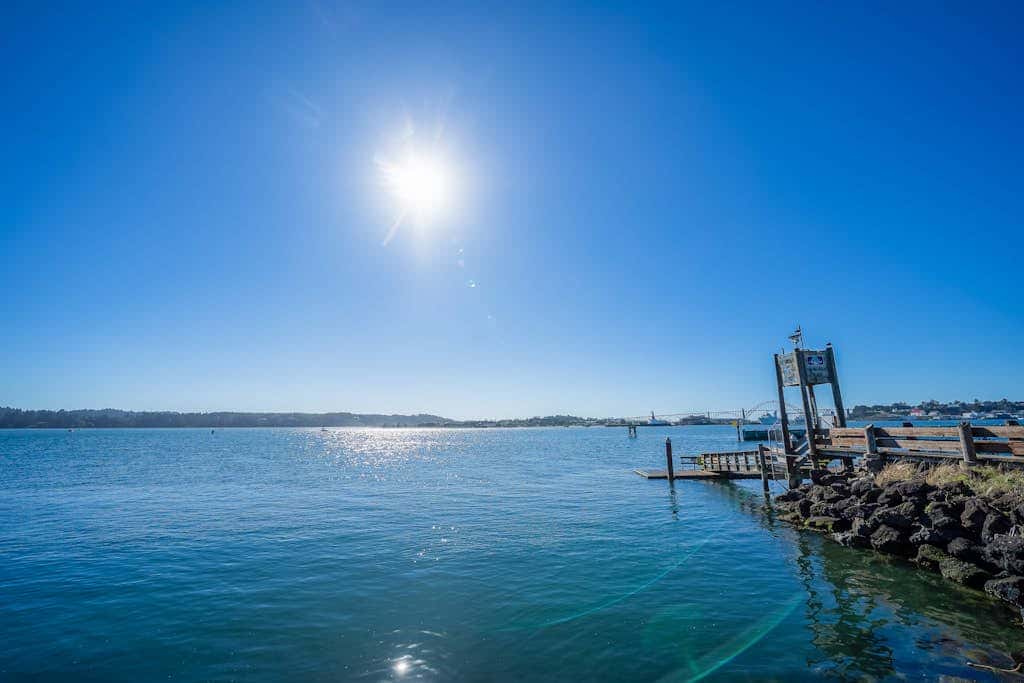 Oceanfront studio - harbor views, shared sauna & dog-friendly