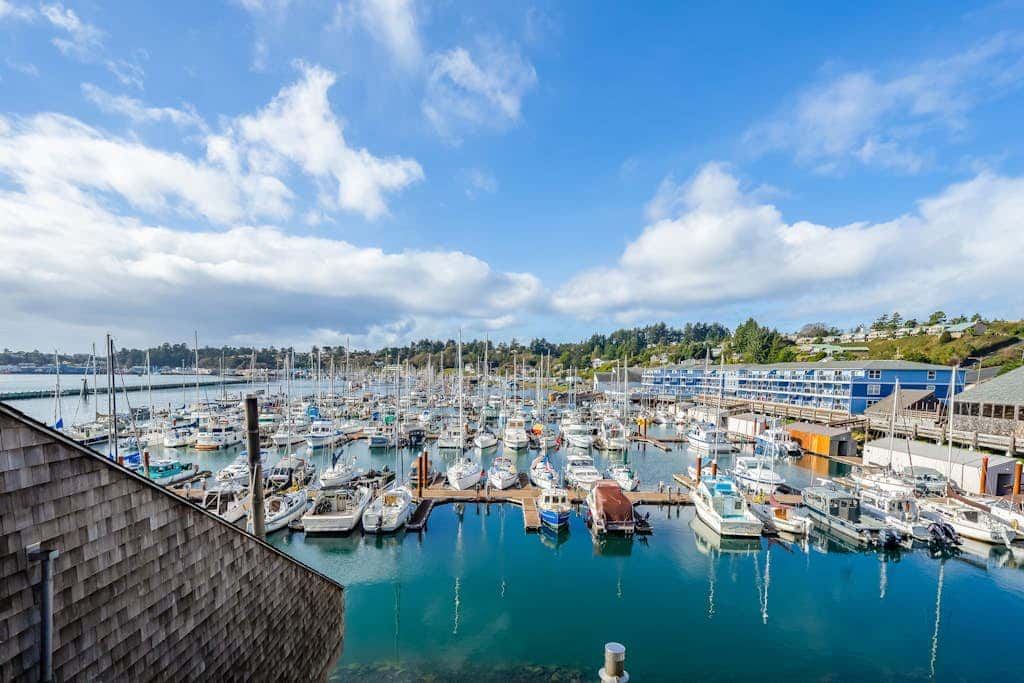 Oceanfront studio - harbor views, shared sauna & dog-friendly
