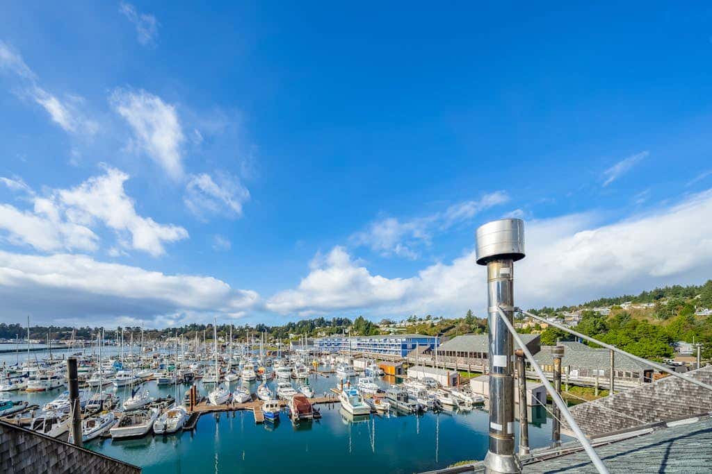 Oceanfront studio - harbor views, shared sauna & dog-friendly
