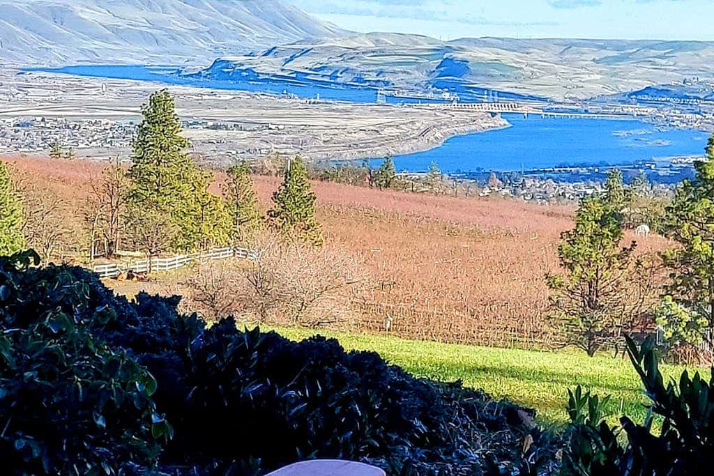 Dog-friendly hilltop estate with fireplace & incredible Columbia River view