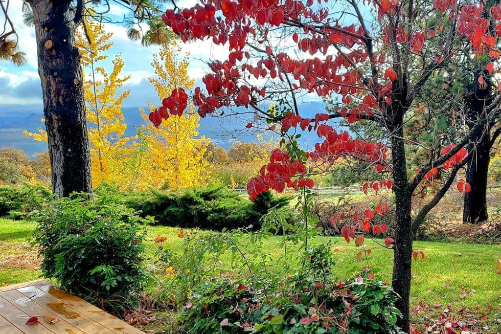 Dog-friendly hilltop estate with fireplace & incredible Columbia River view