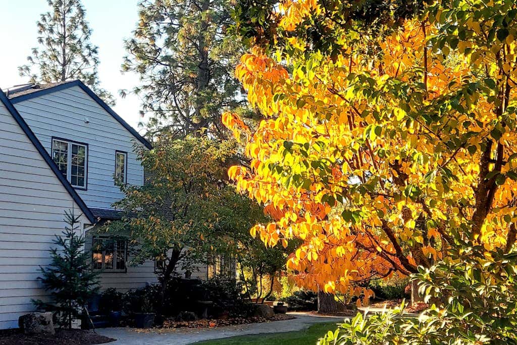 Dog-friendly hilltop estate with fireplace & incredible Columbia River view