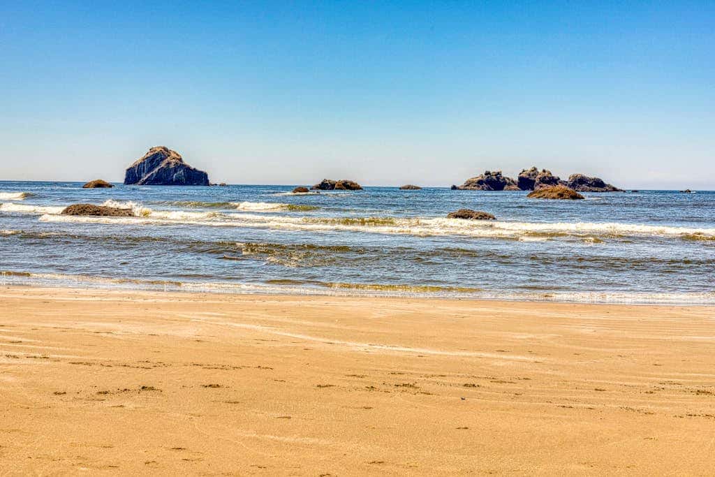 Dog-friendly cottage on the bluff with unobstructed ocean views