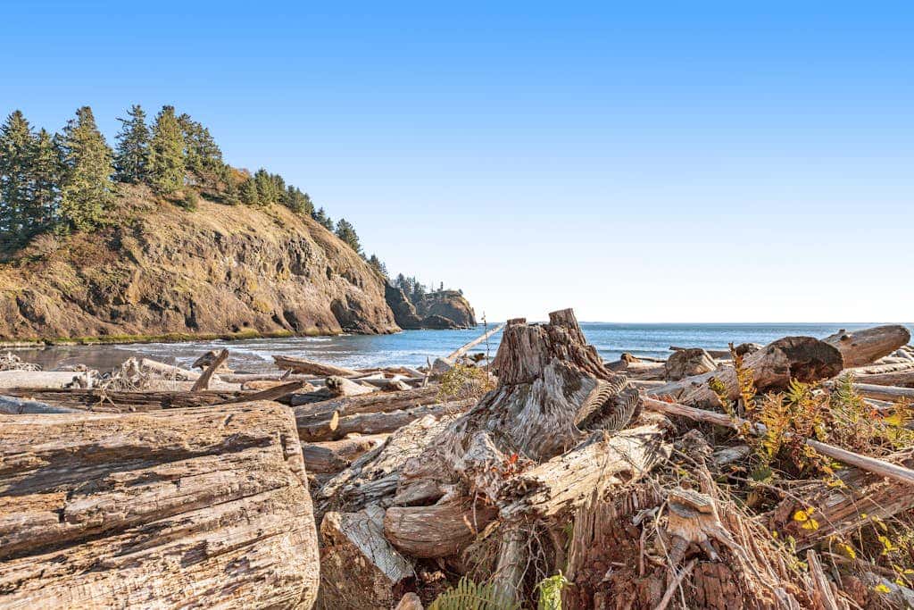 Single-level home with firepit & gas fireplace - walk to the beach, 3 dogs OK