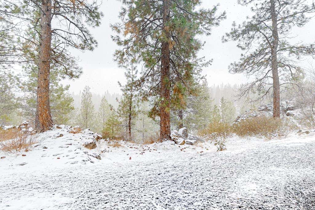 Mountain view condo with a fireplace, WiFi, partial AC, shared hot tub & pool