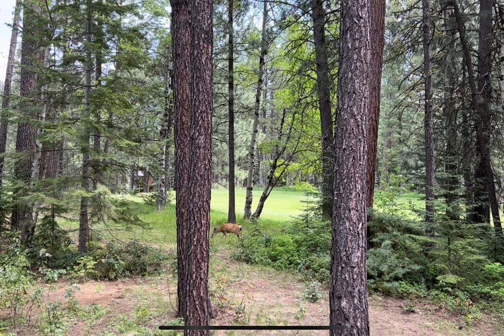 Inviting & comfortable Black Butte home with  hot tub, pool, tennis & basketball