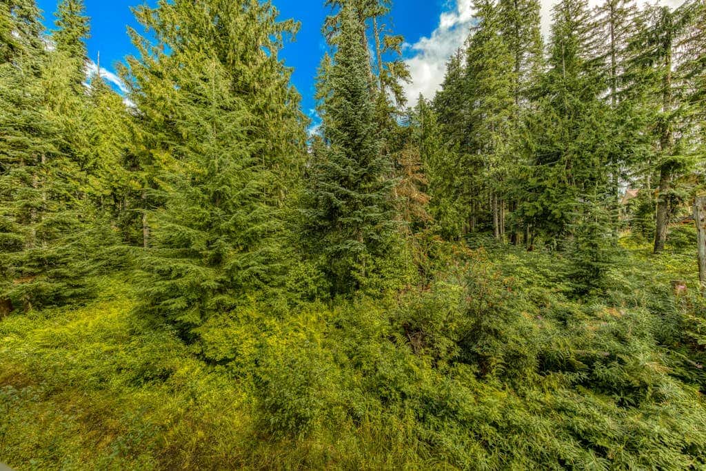 Dog-friendly, upscale condo with shared pool & hot tub - one mile from skiing
