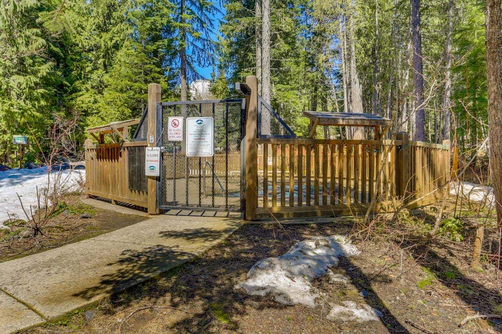 Dog-friendly, upscale condo with shared pool & hot tub - one mile from skiing