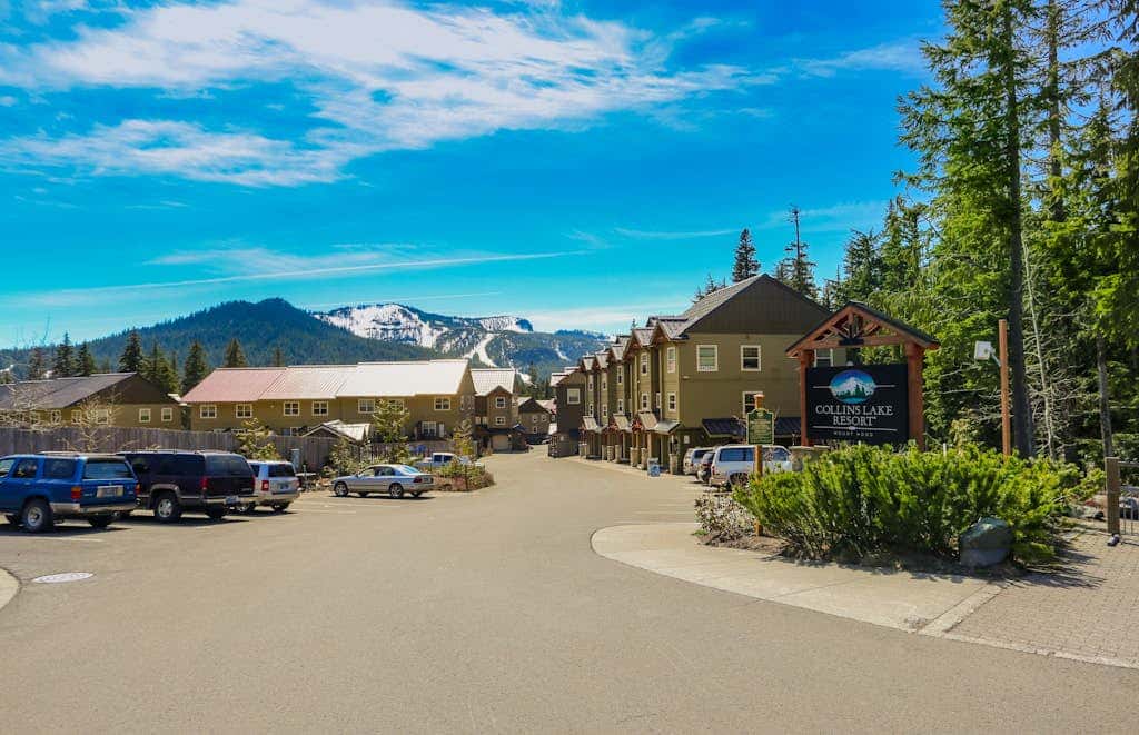 Dog-friendly, upscale condo with shared pool & hot tub - one mile from skiing