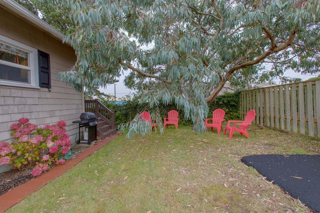 Dog-friendly cottage with great location, cozy interior, WiFi & washer/dryer