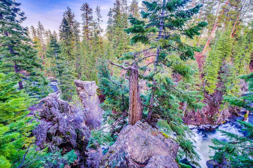 Dog-friendly ground-floor condo with pools, hot tubs, sauna, & fitness room