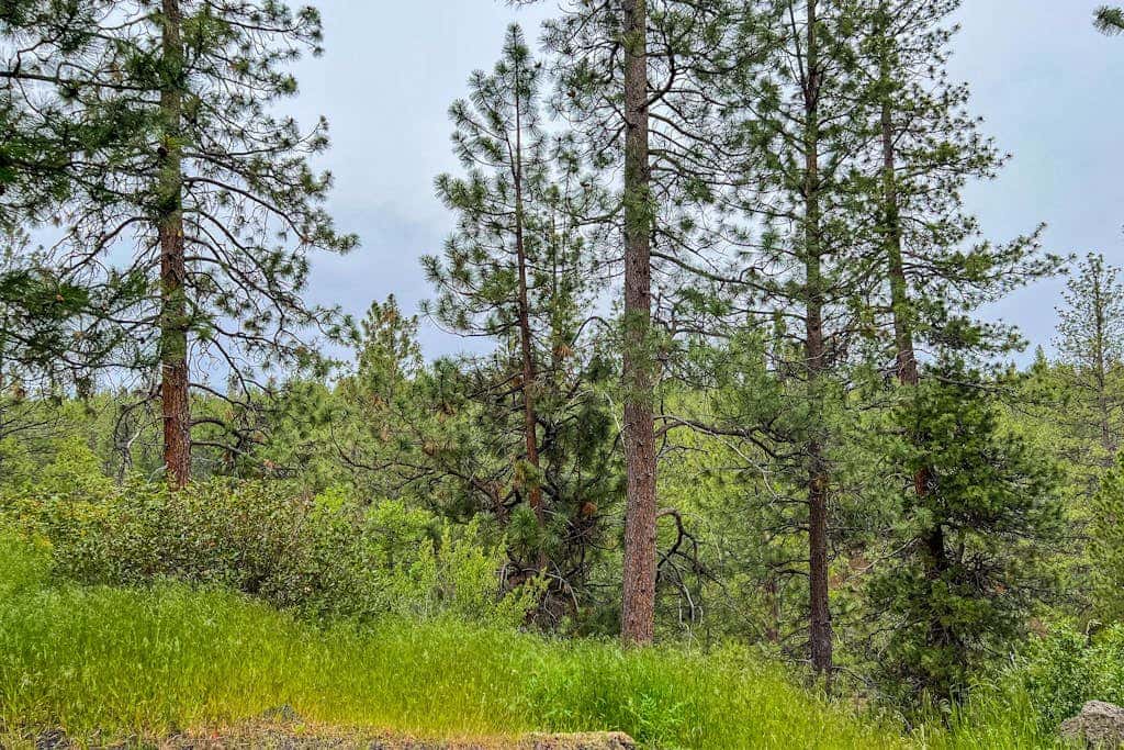 Cozy mountain studio near skiing & town with fast WiFi, shared pools, & patio