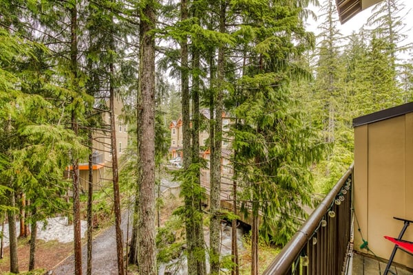 Collins Lake Condo