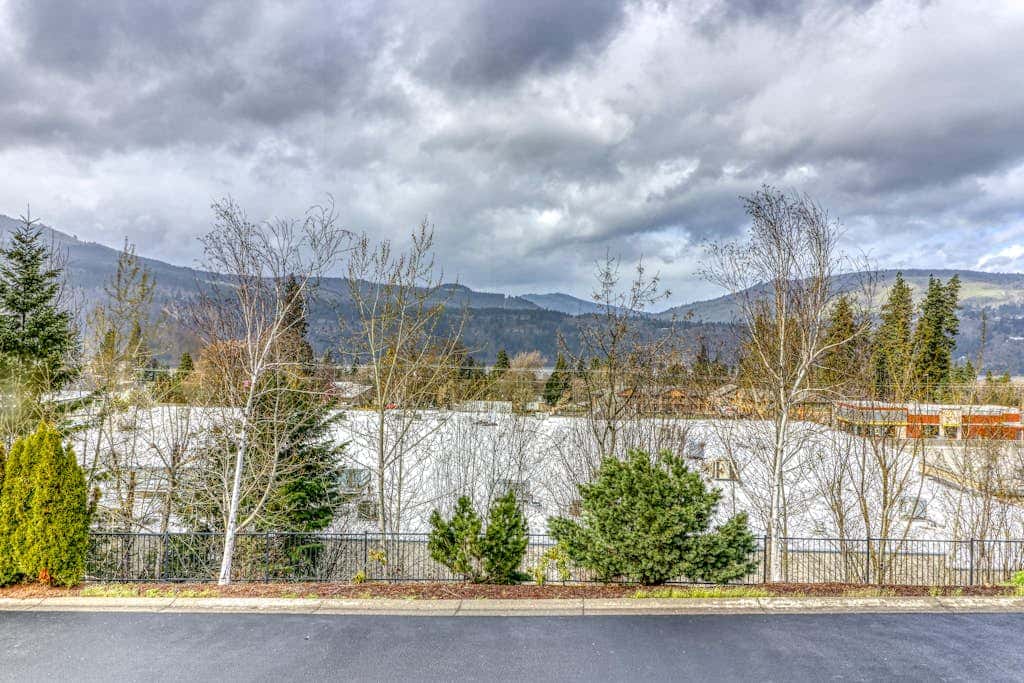 Modern dog-friendly home w/ stunning Mt. Adams view - walk downtown