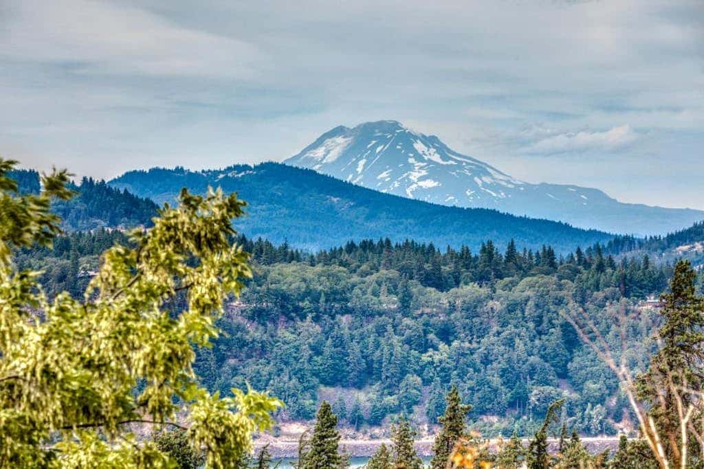 Modern dog-friendly home w/ stunning Mt. Adams view - walk downtown