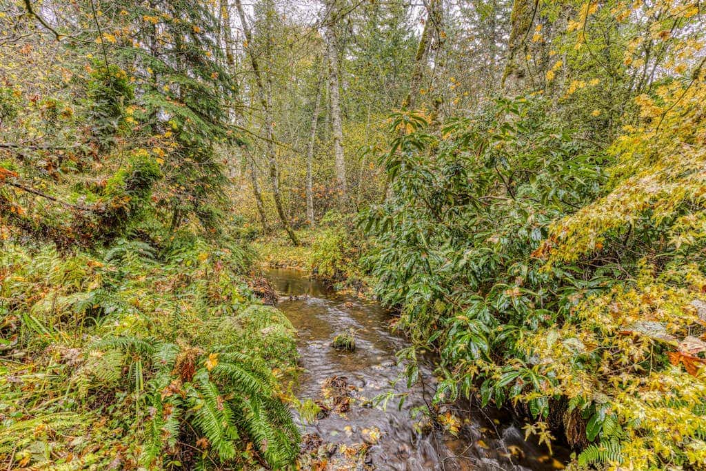 Expansive Wooded Home with a Brook, Firepit, Private Hot Tub and Shared Pool