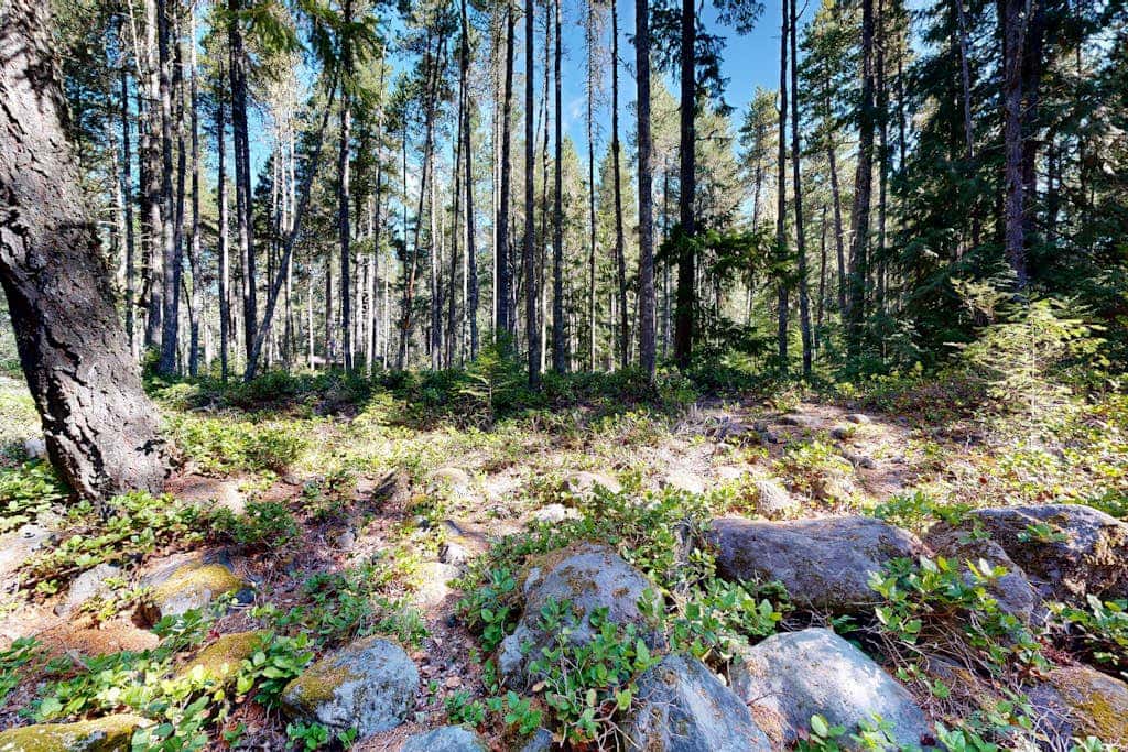 Dog-friendly, A-frame cabin with private hot tub - tranquil setting near skiing