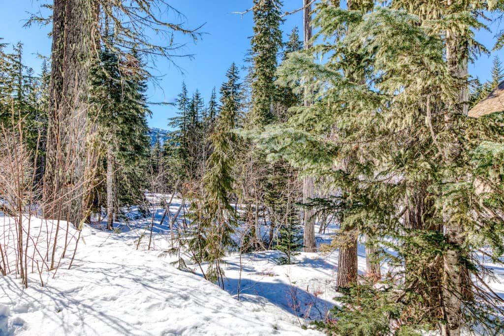 Luxury Govt Camp condo with fireplace, updated amenities, & shared pool & hot tub