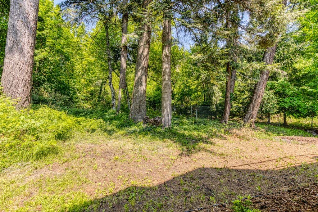 Dog-friendly studio with river view, patio, grill, & shared W&D