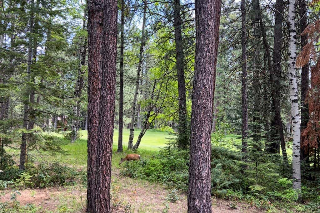Spacious dog-friendly home with private hot tub, deck, basketball court & WIFI