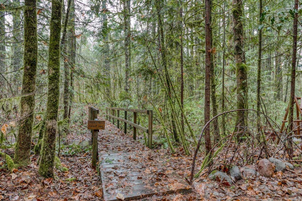 Charming, riverfront cabin with fireplace - dog-friendly