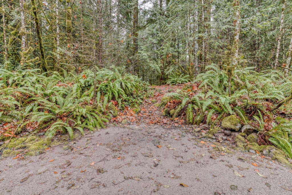 Charming, riverfront cabin with fireplace - dog-friendly