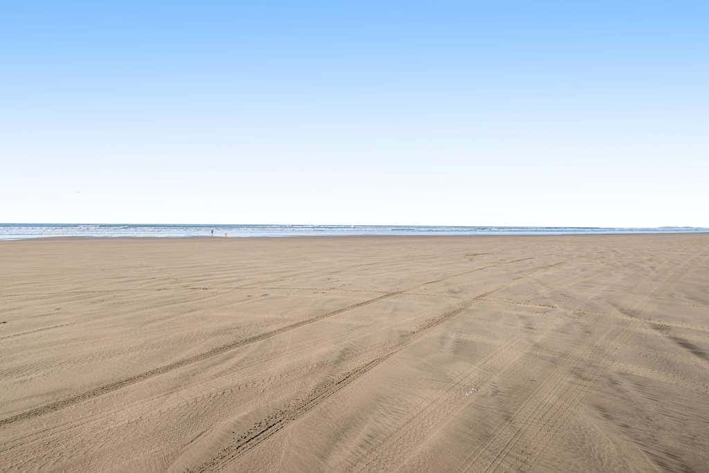 Beautiful, dog-friendly cottage with large yard - just a few blocks to the beach