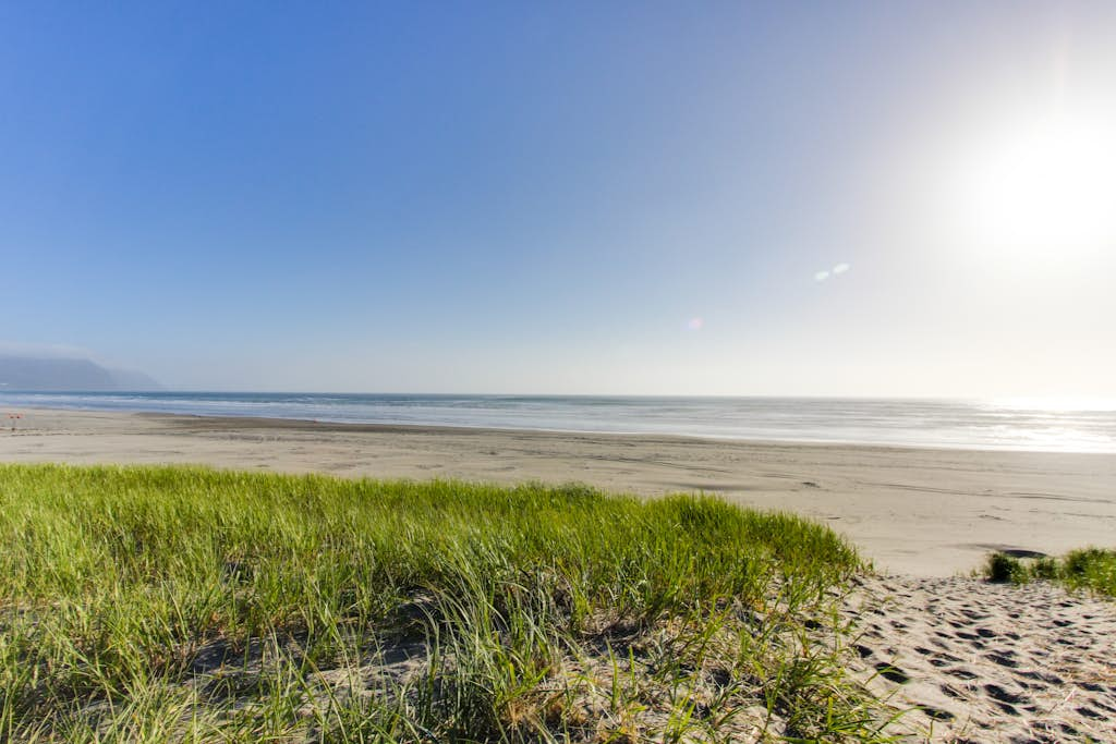 Oceanfront getaway close to Gearhart Golf Links , no pets